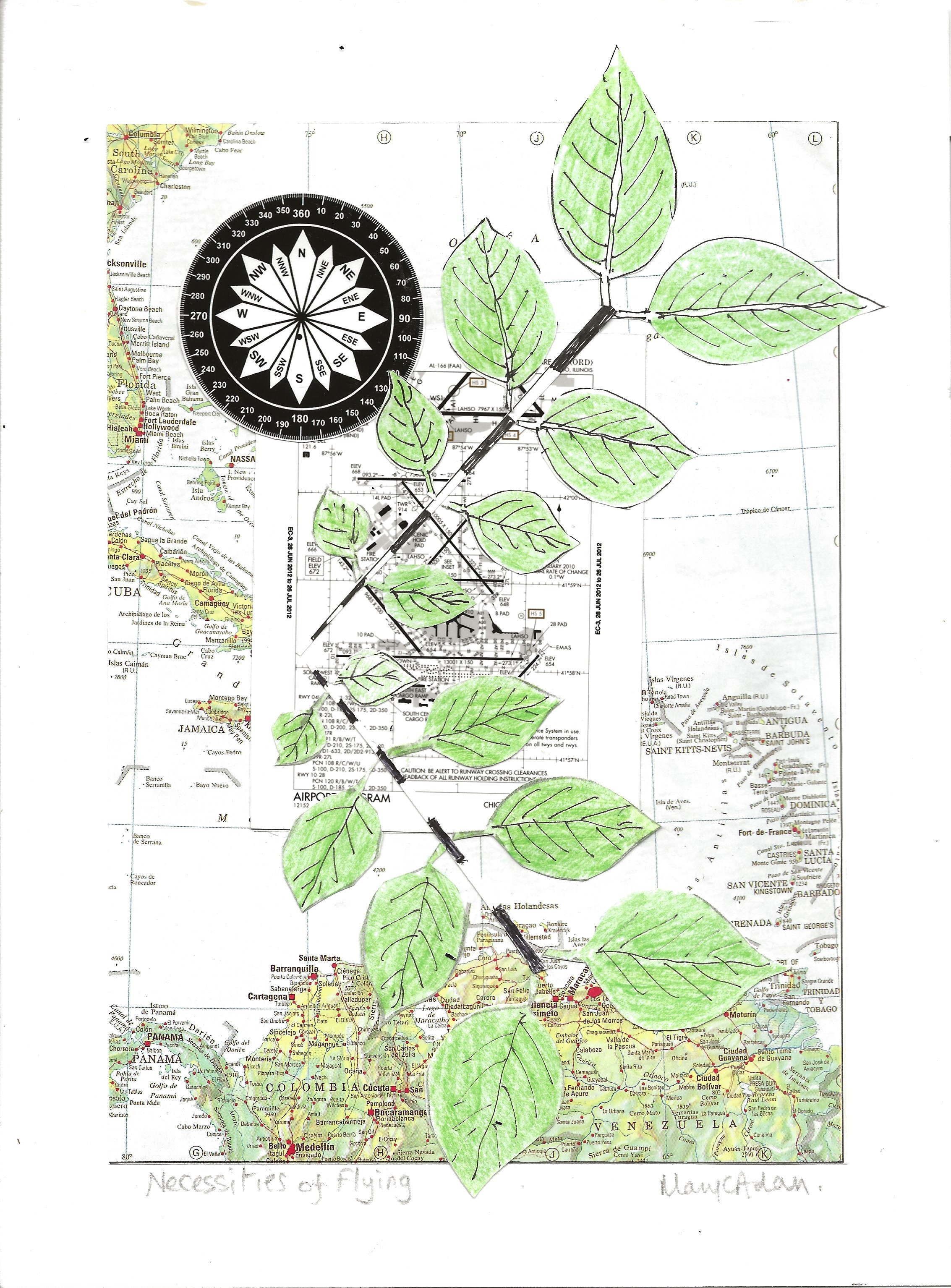 Plant Life collage by Mary Adam
