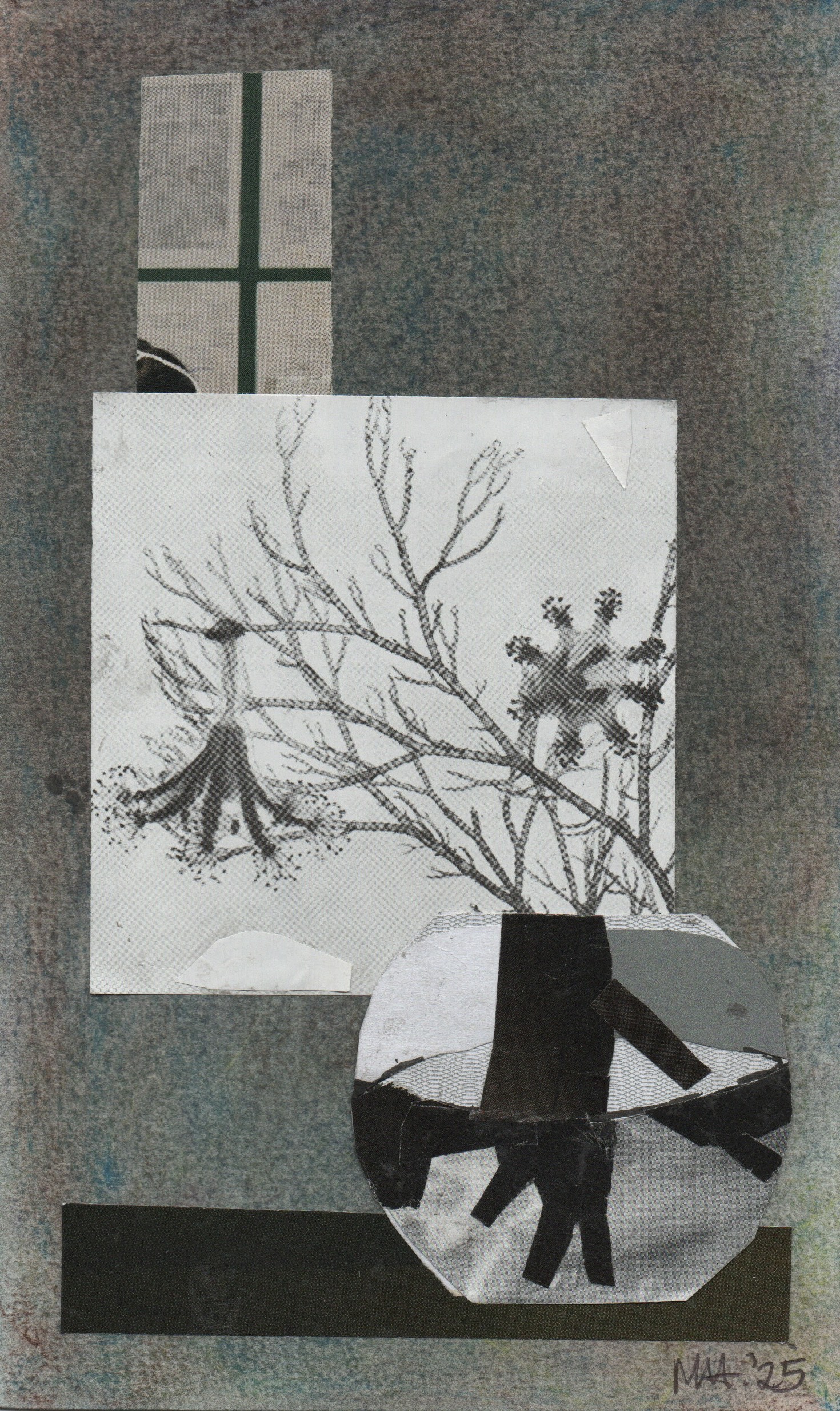 Still life collage by Mary Adam