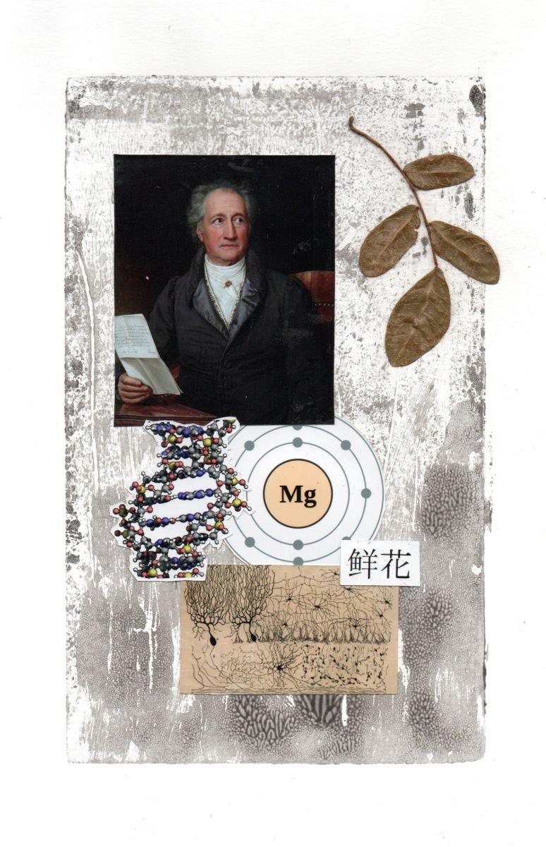 Plant-life-series collage by Mary Adam